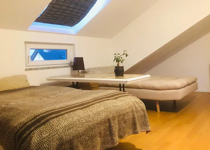 Pod-Inn 坡顶公寓-文化谷仓